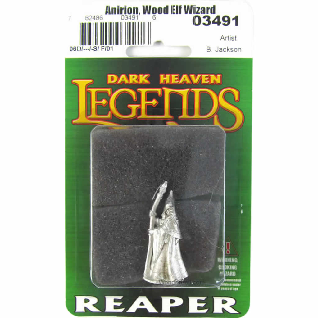 RPR03491 Anirion Wood Elf Wizard Miniature 25mm Heroic Scale Figure Dark Heaven Legends