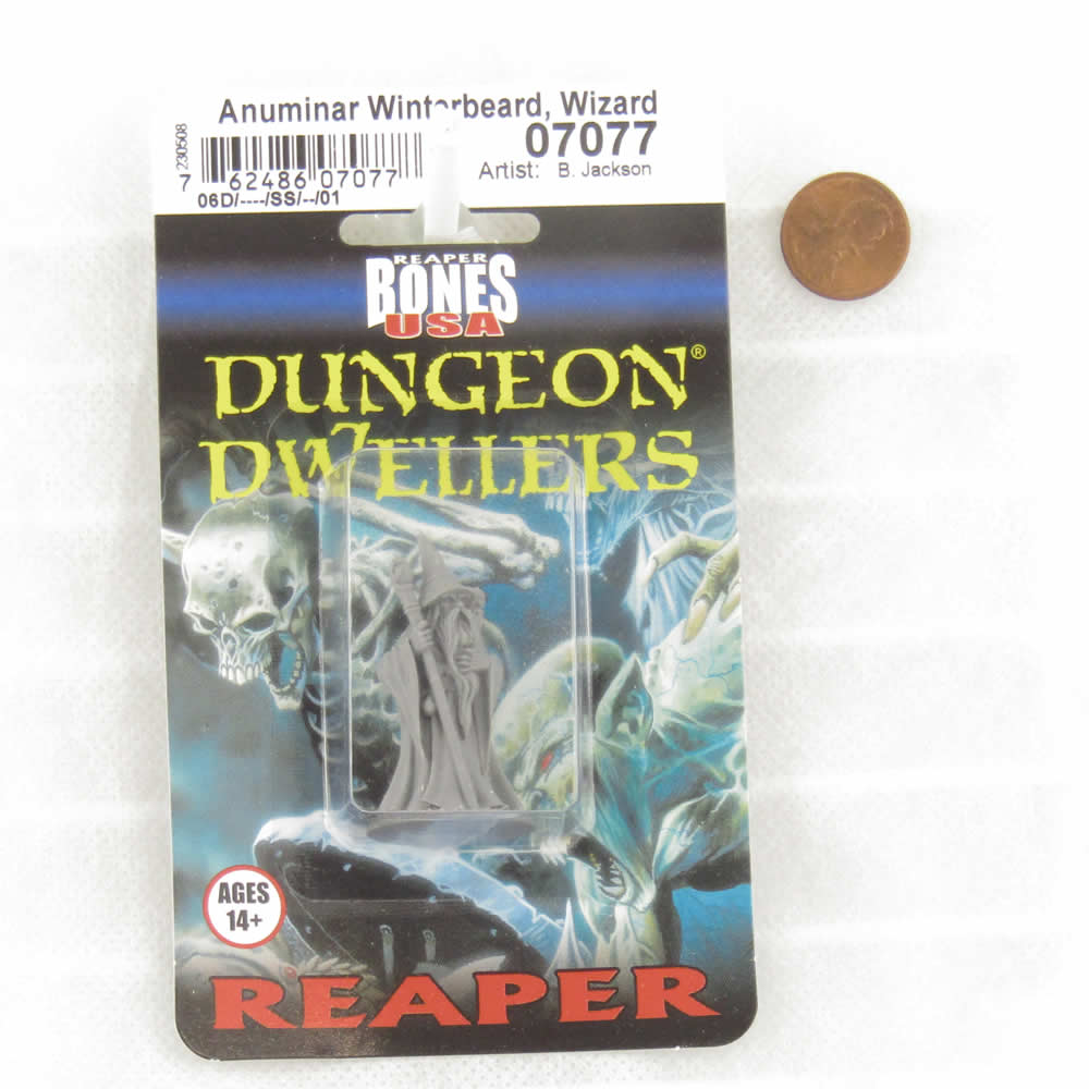 RPR07077 Anuminar Winterbeard Wizard Miniature 25mm Heroic Scale Figure 3D Printed Dungeon Dwellers