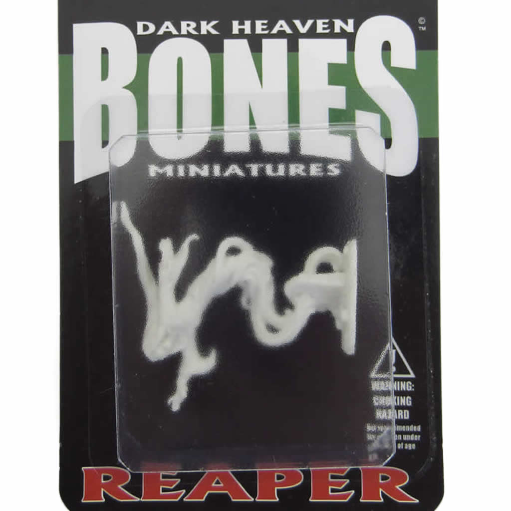 RPR77007 Ghost Monster Miniature 25mm Heroic Scale Figure Dark Heaven Bones