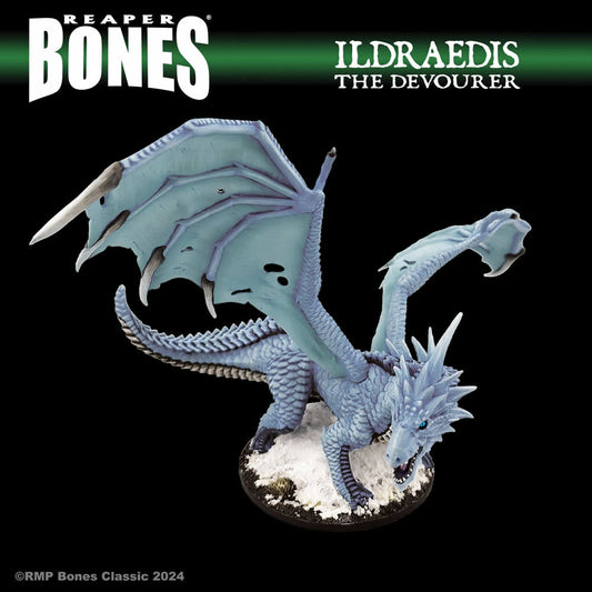 RPR77761 Ildraedis the Devourer Miniature 25mm Heroic Scale Figure Dark Heaven Bones