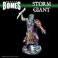 RPR77763 Storm Giant Miniature 25mm Heroic Scale Figure Dark Heaven Bones