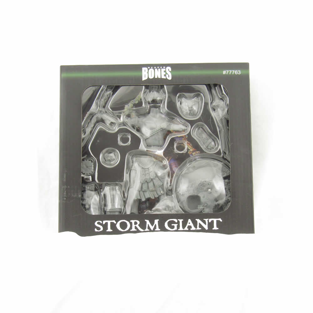 RPR77763 Storm Giant Miniature 25mm Heroic Scale Figure Dark Heaven Bones