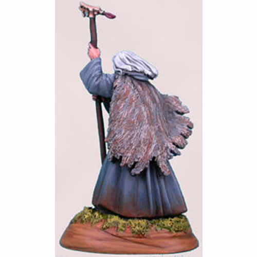 DSM1113 Male Wizard Miniature Elmore Masterwork Dark Sword Miniatures 3rd Image