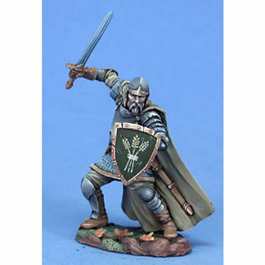 DSM5025 Veteran Hedge Knight with Long Sword Miniature Main Image
