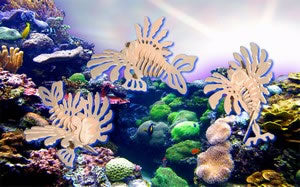 PUZ1299 Lion Fish Large 3D Puzzle by Puzzled Inc Main Image