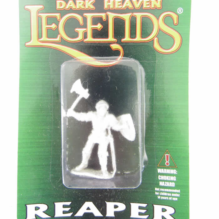 RPR02033 Sir Falkirk Nobleheart Fighter Miniature 25mm Heroic Scale 2nd Image
