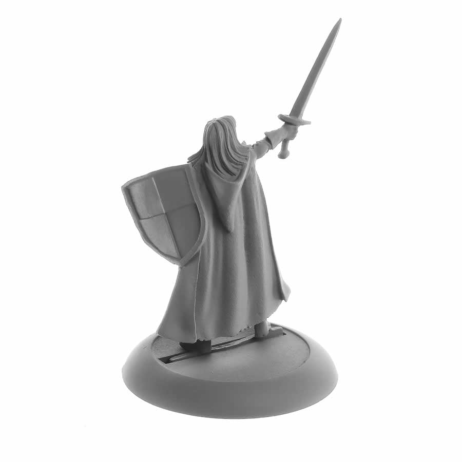 RPR04070 Human Paladin Caerindra Miniature 25mm Heroic Scale Figure Dark Heaven Legends 3rd Image
