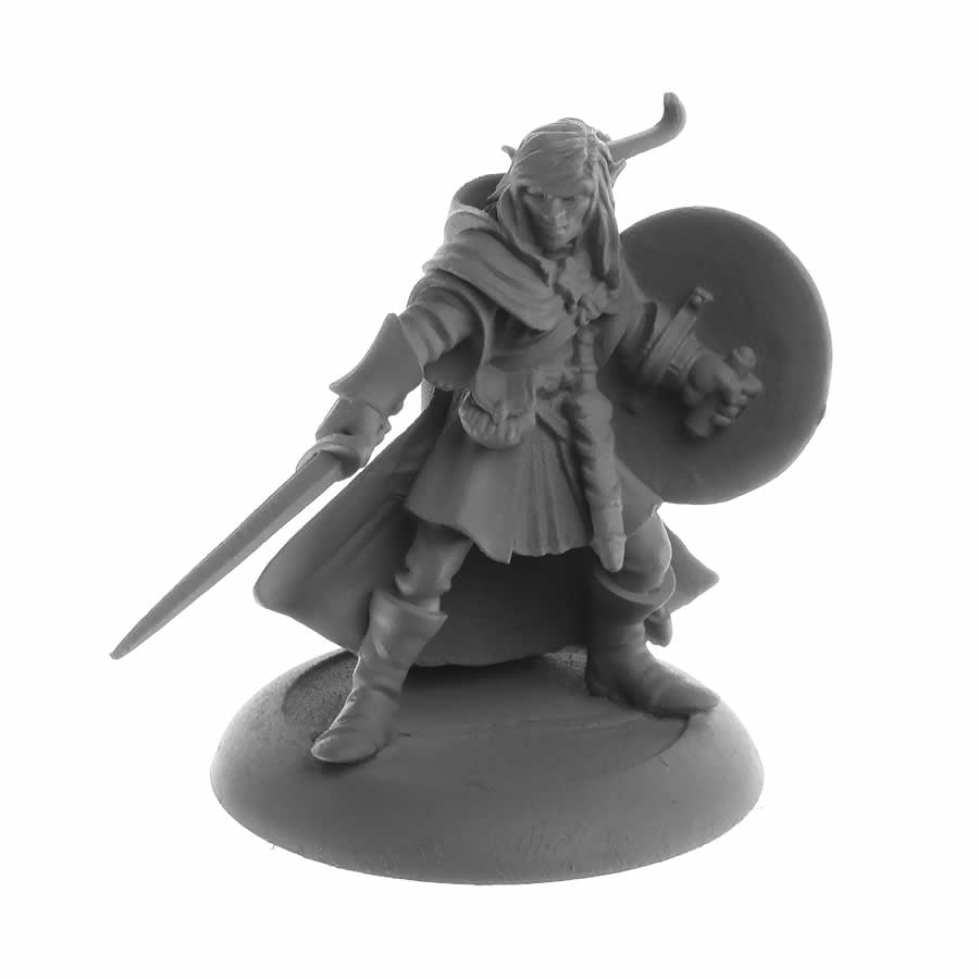 RPR04084 Elf Fighter Mellonir Windrunner Miniature 25mm Heroic Scale Figure Dark Heaven Legends Main Image