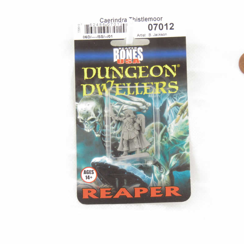 RPR07012B Caerindra Thistlemoor Miniature 25mm Heroic Scale Figure Dungeon Dwellers