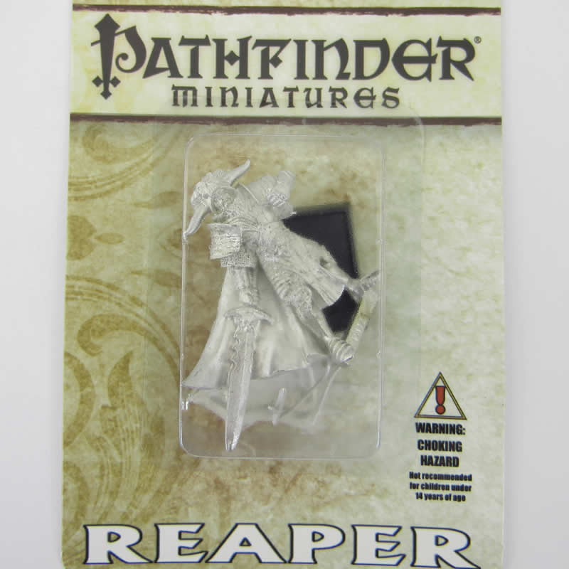 RPR60103 Anti Paladin Miniatures 25mm Heroic Scale Pathfinder Series 2nd Image