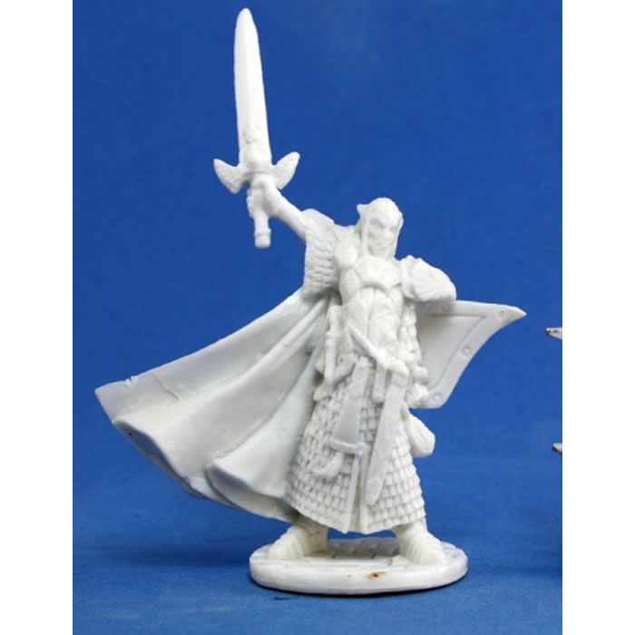 RPR77044 Turanil Male Elf Paladin Miniature 25mm Heroic Scale Main Image