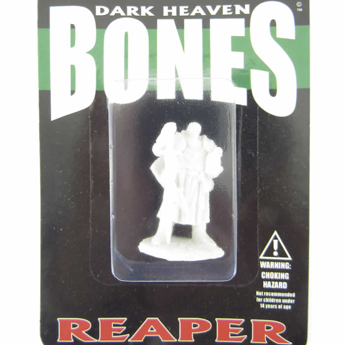 RPR77197 Erick Paladin Initiate Miniature 25mm Heroic Scale Dark Heaven 2nd Image