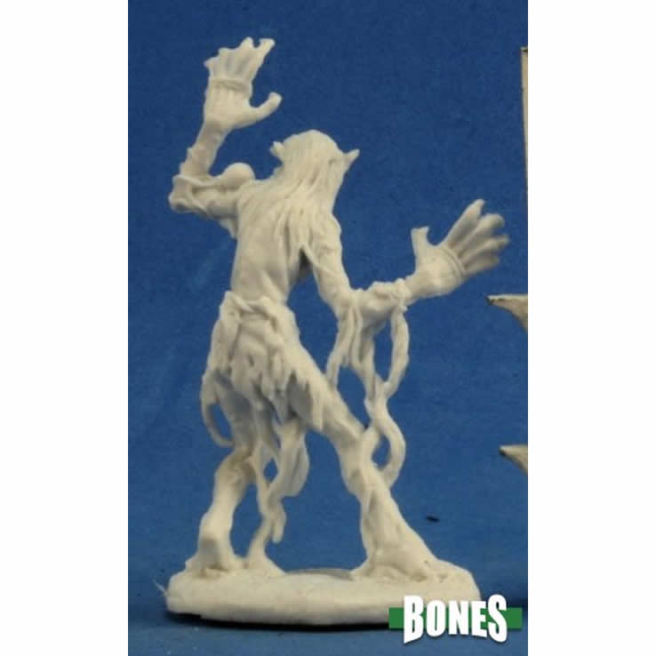 RPR77276 Sea Hag Miniature 25mm Heroic Scale Dark Heaven Bones 3rd Image