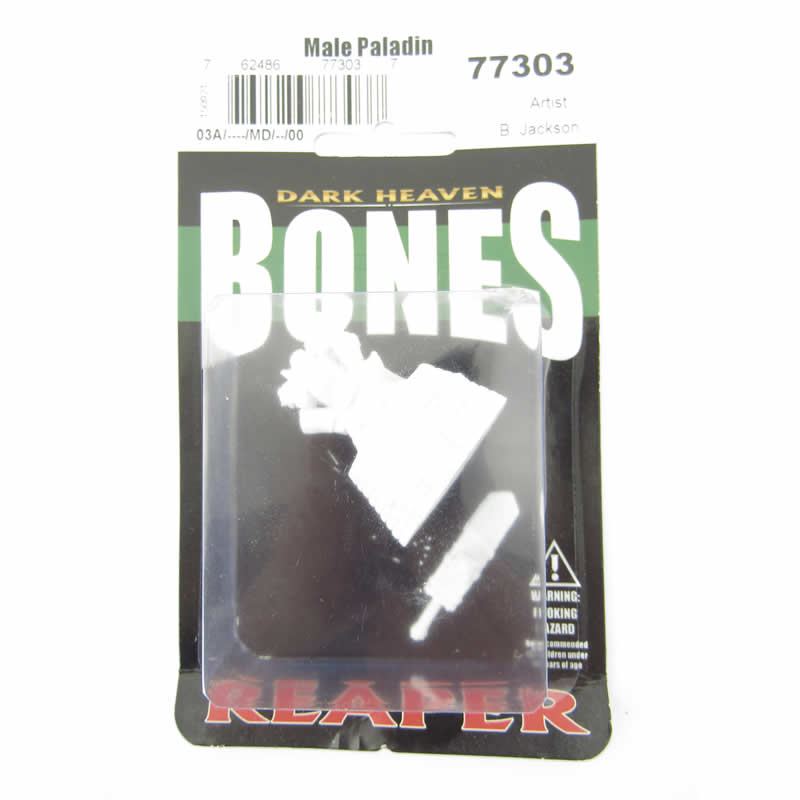 RPR77303 Male Paladin Miniature 25mm Heroic Scale Figure Bones 2nd Image