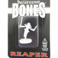 RPR89009 Merisiel Elf Rogue Miniature 25mm Heroic Scale Pathfinder Bones Reaper Miniatures 2nd Image