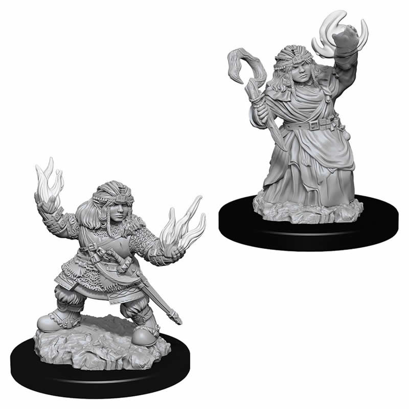 WZK73543 Female Dwarf Summoner Pathfinder Battles Miniatures Unpainted Main Image