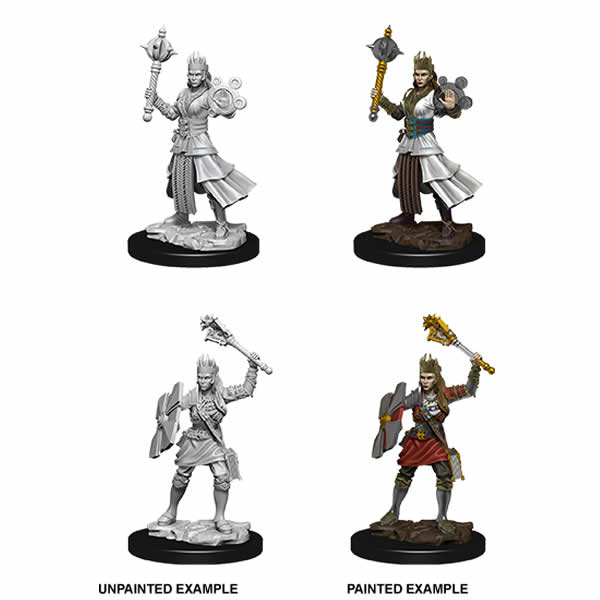 WZK73671 Female Human Cleric Nozurs Marvelous Miniatures D&D Unpainted Main Image