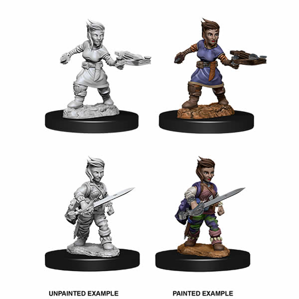 WZK73695 Female Halfling Rogue Pathfinder Battles Deep Cuts Miniatures Main Image
