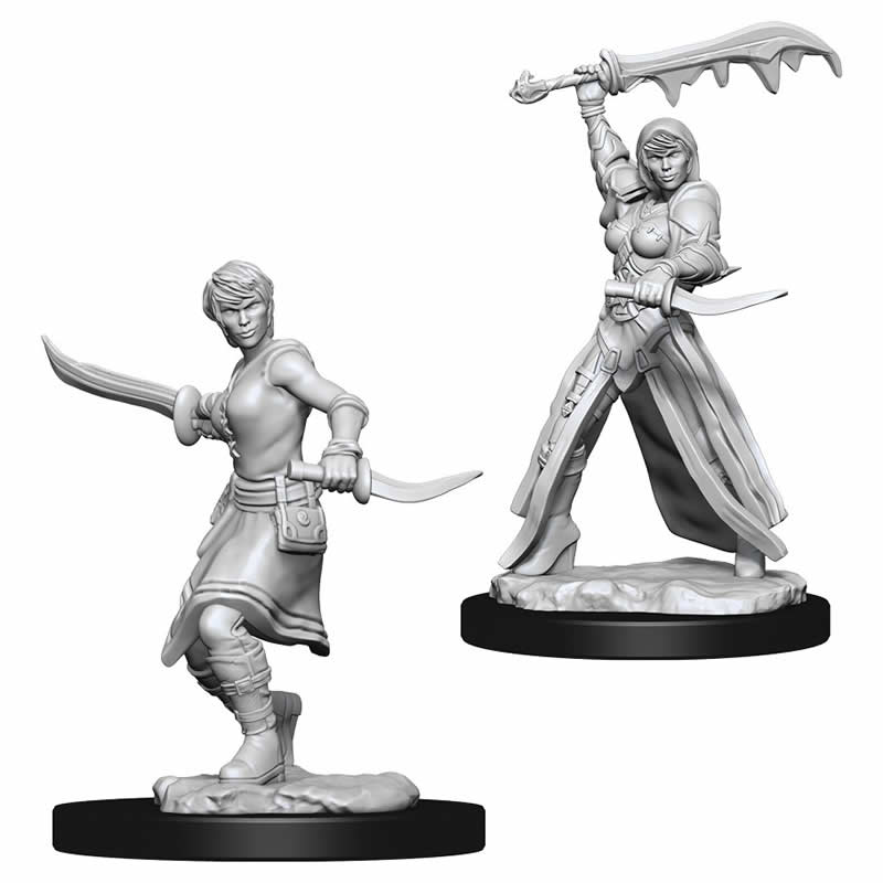 WZK73831 Female Human Rogue Nozurs Marvelous Miniatures D&D Unpainted Main Image