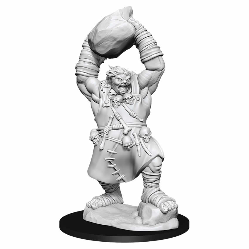WZK90041 Ogre Pathfinder Battles Deep Cuts Miniatures Unpainted WizKids Main Image