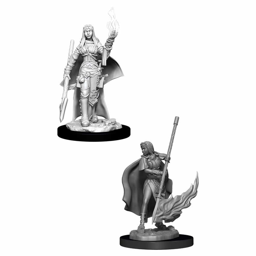WZK90044 Female Human Oracle Pathfinder Battles Deep Cuts Miniatures Unpainted WizKids Main Image