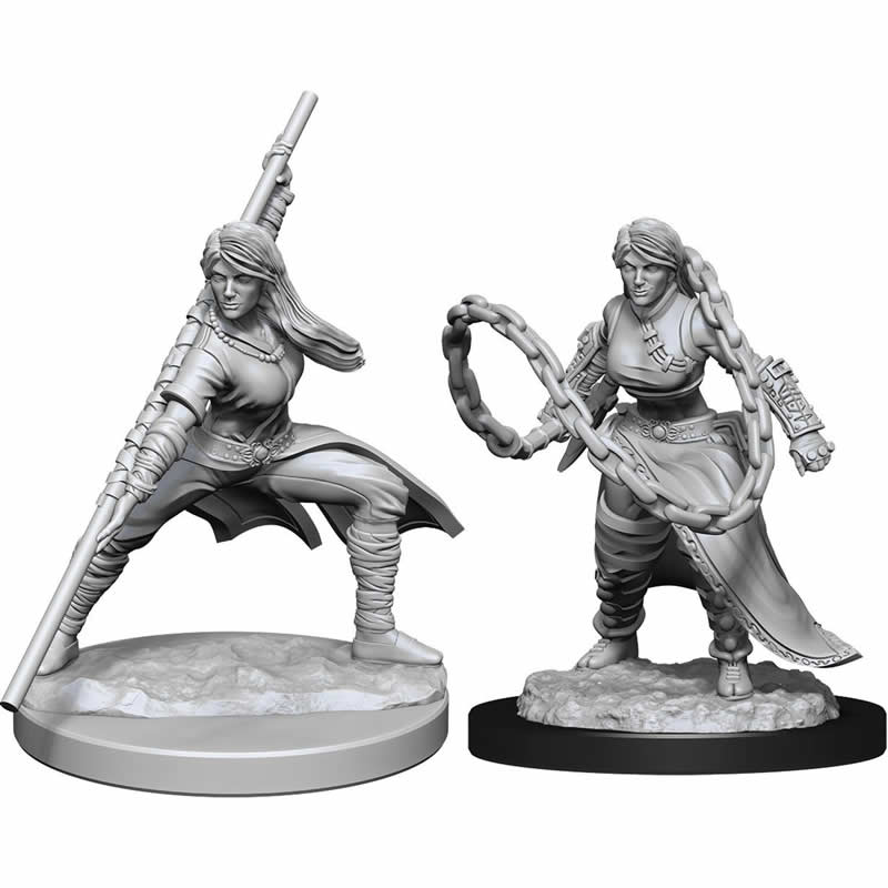 WZK90225 Human Monk Female Nozurs Marvelous Miniatures D&D Unpainted Miniatures Main Image