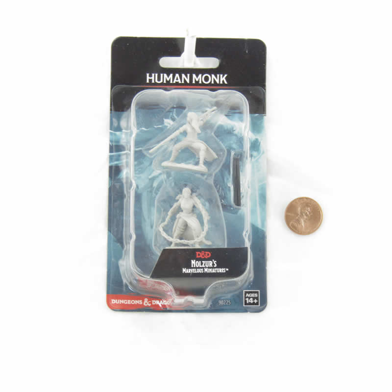 WZK90225 Human Monk Female Nozurs Marvelous Miniatures D&D Unpainted Miniatures 2nd Image
