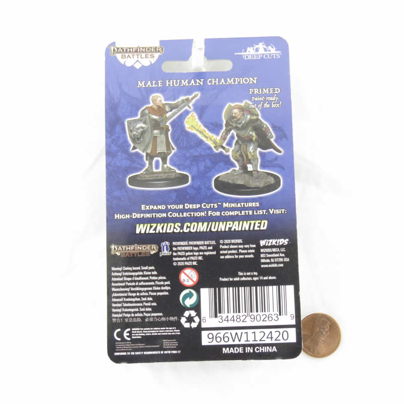 WZK90263 Human Champion Male Miniature Figure Pathfinder Battles Deep Cuts Unpainted Miniatures 3rd Image