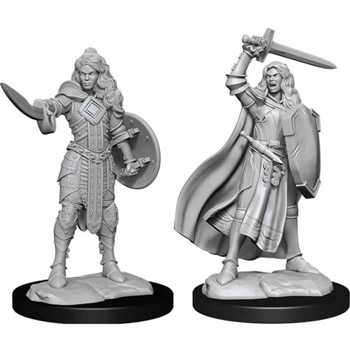 WZK90264 Human Champion Female Miniature Figure Pathfinder Battles Deep Cuts Unpainted Miniatures Main Image