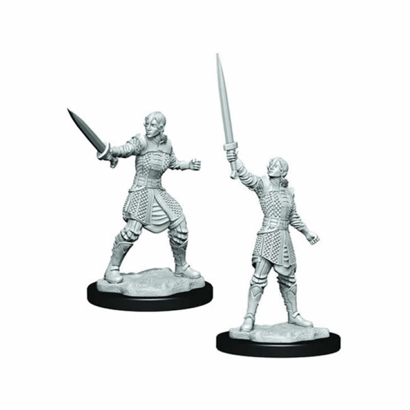 WZK90386 Human Dwendalian Fighter Female Unpainted Miniatures Critical Role Series Figures 3rd Image