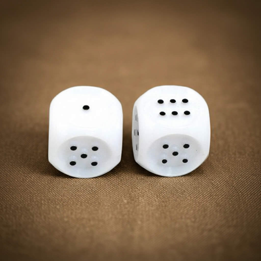 KOP03999 White Tactile Dice with Raised Black Pips D6 20mm (25/32in) Pack of 2 Dice