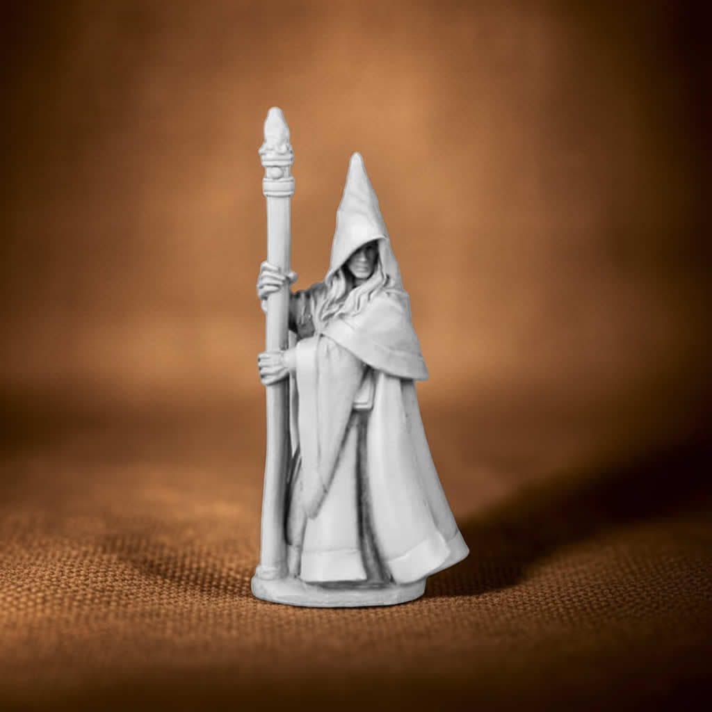 RPR03491 Anirion Wood Elf Wizard Miniature 25mm Heroic Scale Figure Dark Heaven Legends