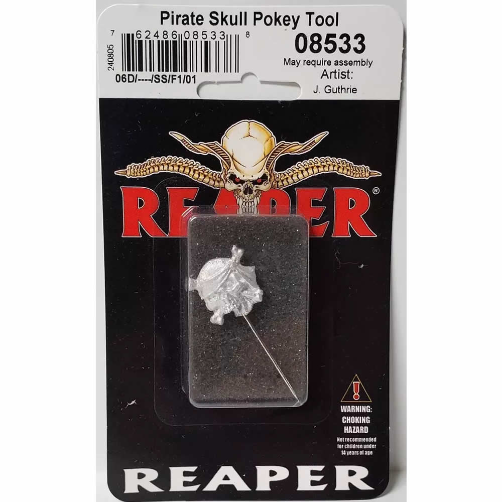 RPR08533PT Pirate Skull Paint Pokey Tool