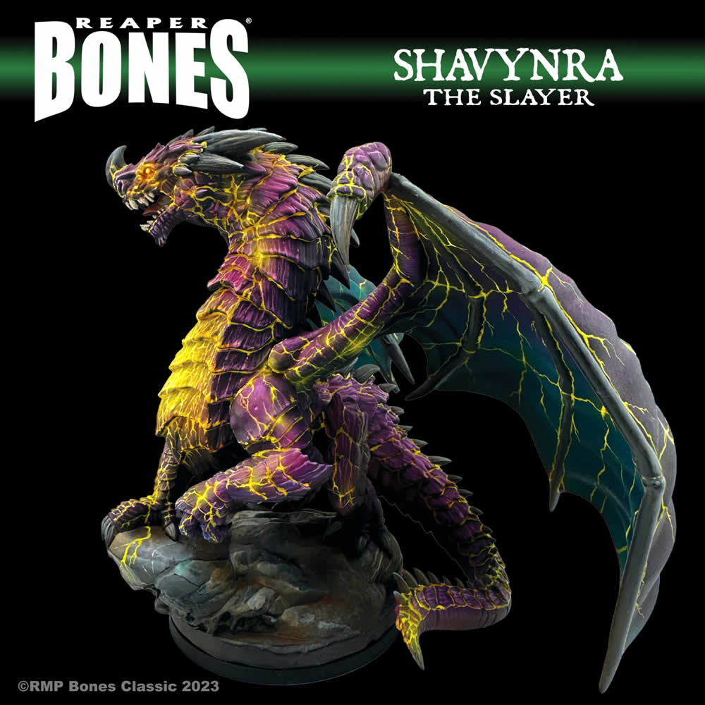 RPR77760 Shavynra the Slayer Miniature 25mm Heroic Scale Figure Dark Heaven Bones