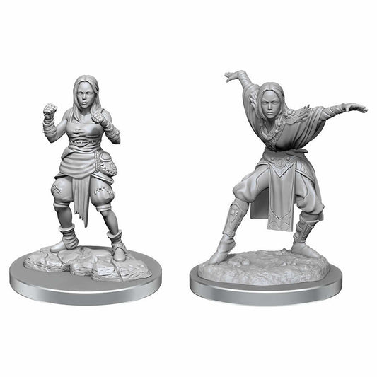 WZK90652 Half-Elf Monk Females Miniature Figure Pathfinder Battles Deep Cuts Unpainted Miniatures WizKids