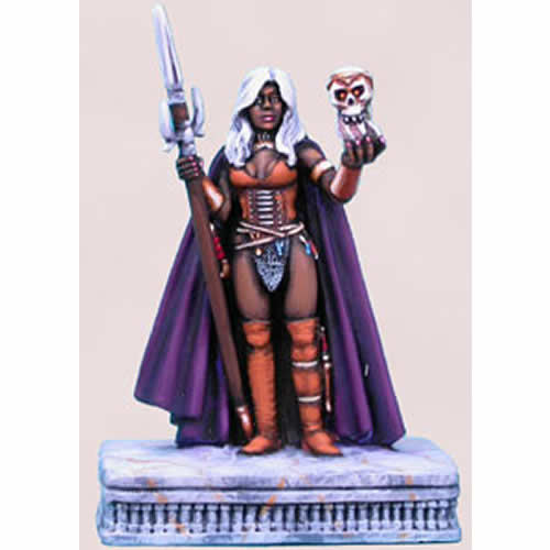 DSM1104 Female Dark Elf Miniature Elmore Masterworks Dark Sword Main Image