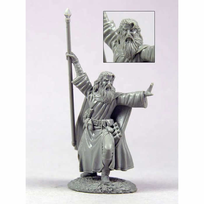 DSM1195 Male Mage With Staff Miniature Elmore Masterworks 4th Image