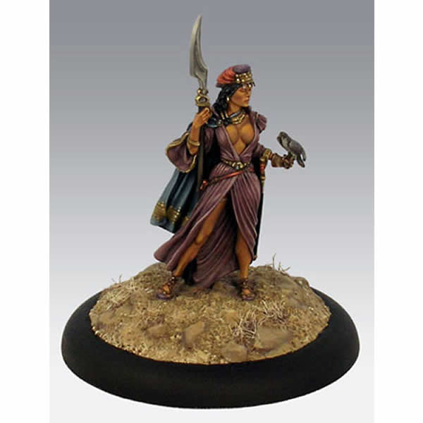 DSM2102 Desert Wing Female Warrior with Hawk Miniature Main Image