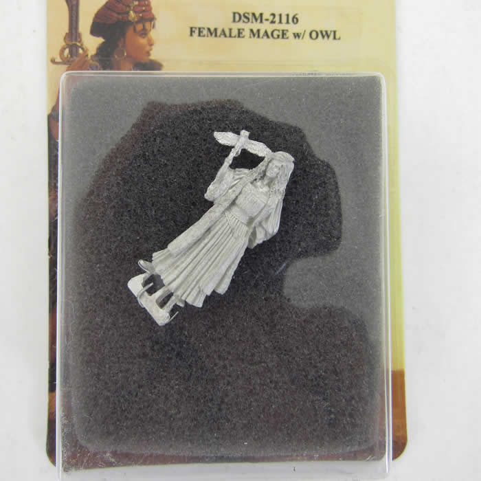 DSM2116 Female Mage With Owl Miniature Parkinson Masterworks 2nd Image