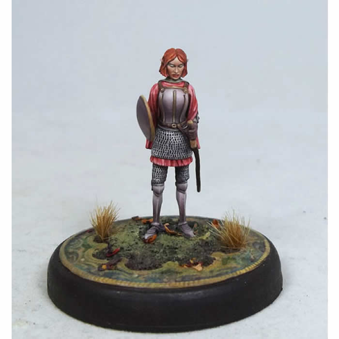 DSM4604 Tara Swiftblade Female Elven Warrior Miniature Main Image