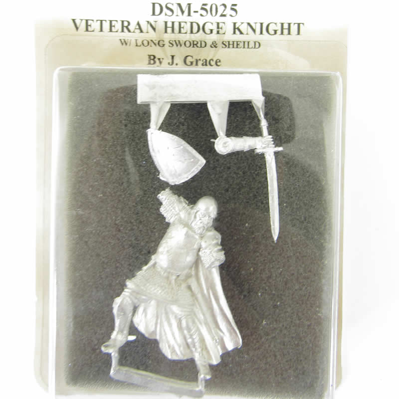 DSM5025 Veteran Hedge Knight with Long Sword Miniature 2nd Image