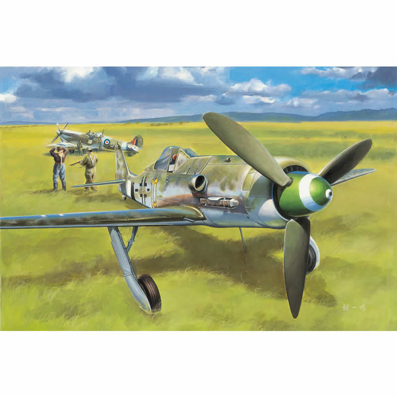 HBM81721 Focke Wulf Fw190D 1/48 Scale Plastic Model Kit Hobby Boss Main Image