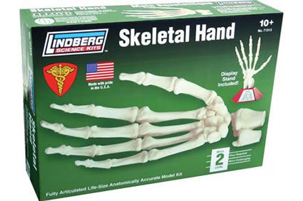 LIN71313 Skeletal Hand Educational Plastic Model Kit Lindberg Main Image