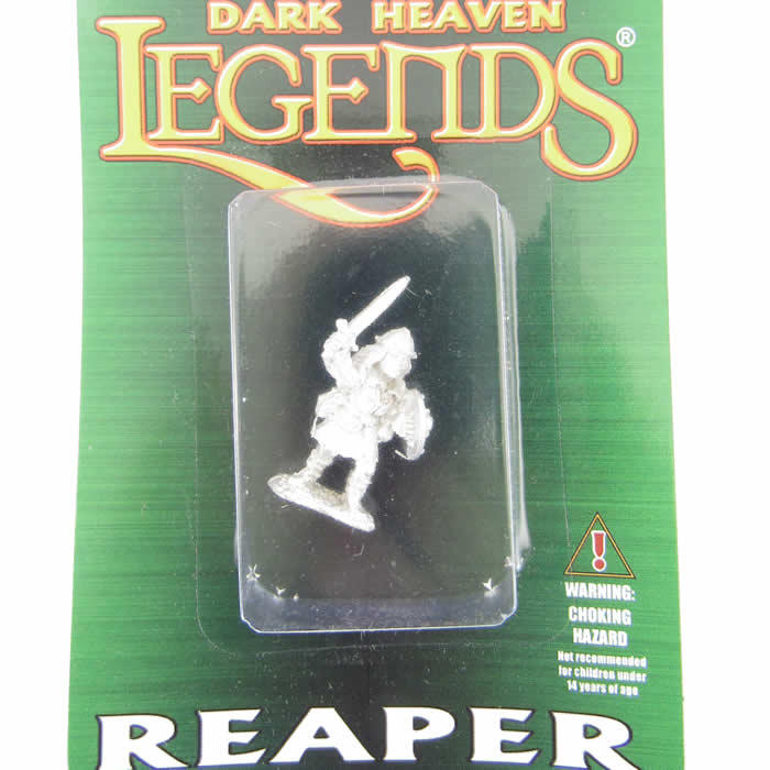 RPR02053 Rolearth Fighter Miniature 25mm Heroic Scale 2nd Image