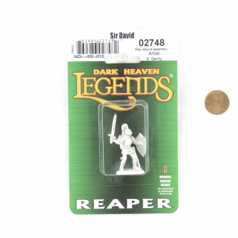 RPR02748 Sir David Miniature 25mm Heroic Scale Dark Heaven Legends 2nd Image