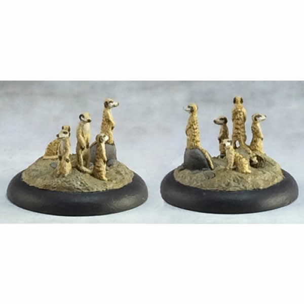 RPR03713 Meerkat Familiars Miniature 25mm Heroic Scale Dark Heaven Main Image