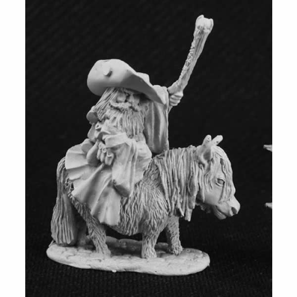 RPR03806 Dwarf Battlemage On Pony Miniature 25mm Heroic Scale Main Image