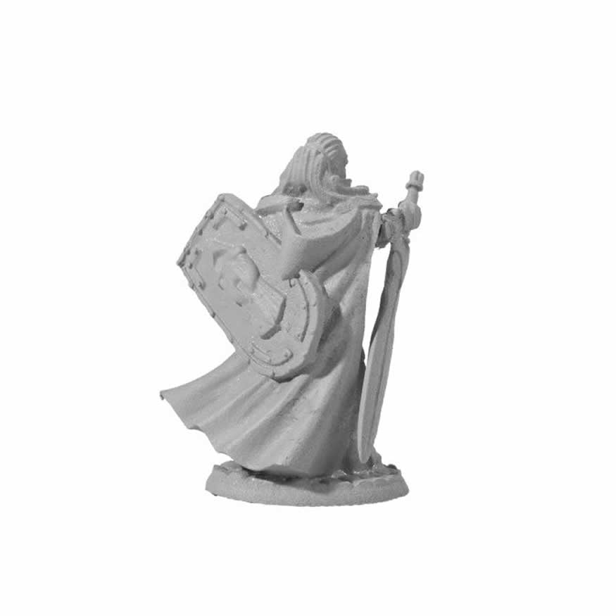 RPR04014 Jade Twinsuns Female Paladin Miniature 25mm Heroic Scale Figure Dark Heaven Legends 3rd Image