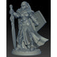 RPR04014 Jade Twinsuns Female Paladin Miniature 25mm Heroic Scale Figure Dark Heaven Legends 4th Image