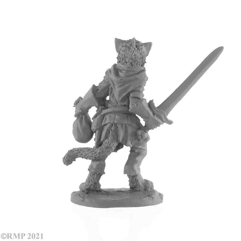 RPR04049 Catfolk Rogue Miniature 25mm Heroic Scale Figure Dark Heaven Legends 3rd Image